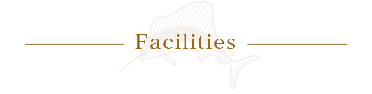 Hotel Facilities and Services
