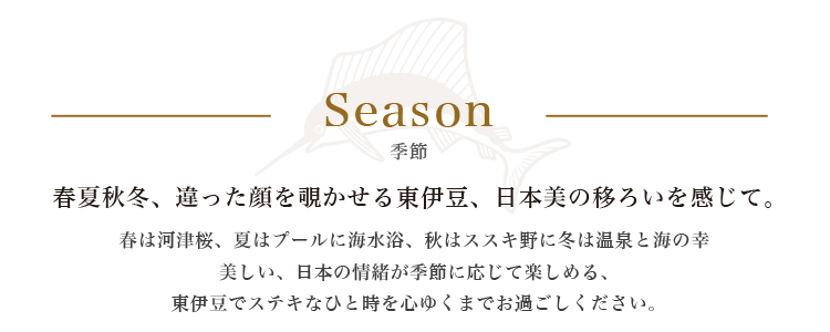 波の音で眠りにつき、波の音で目覚める。