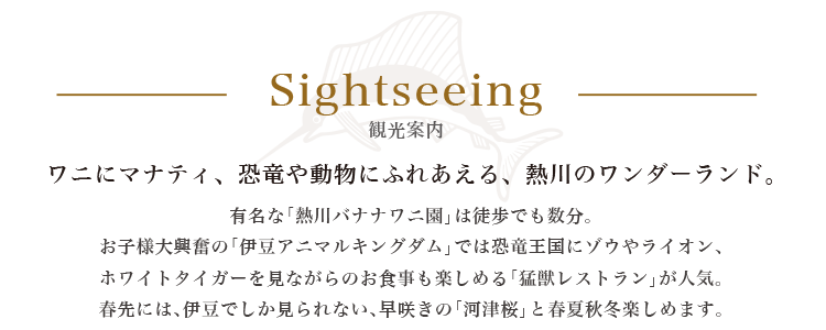 波の音で眠りにつき、波の音で目覚める。