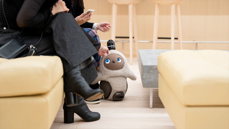 ホテルカターラ　【人になつくロボット】LOVOTが3Fでみんなを待っています♪