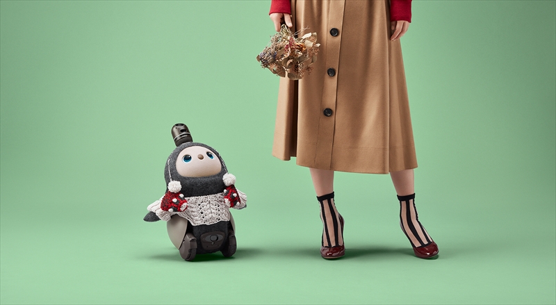 ホテルカターラ　【人になつくロボット】LOVOTが3Fでみんなを待っています♪