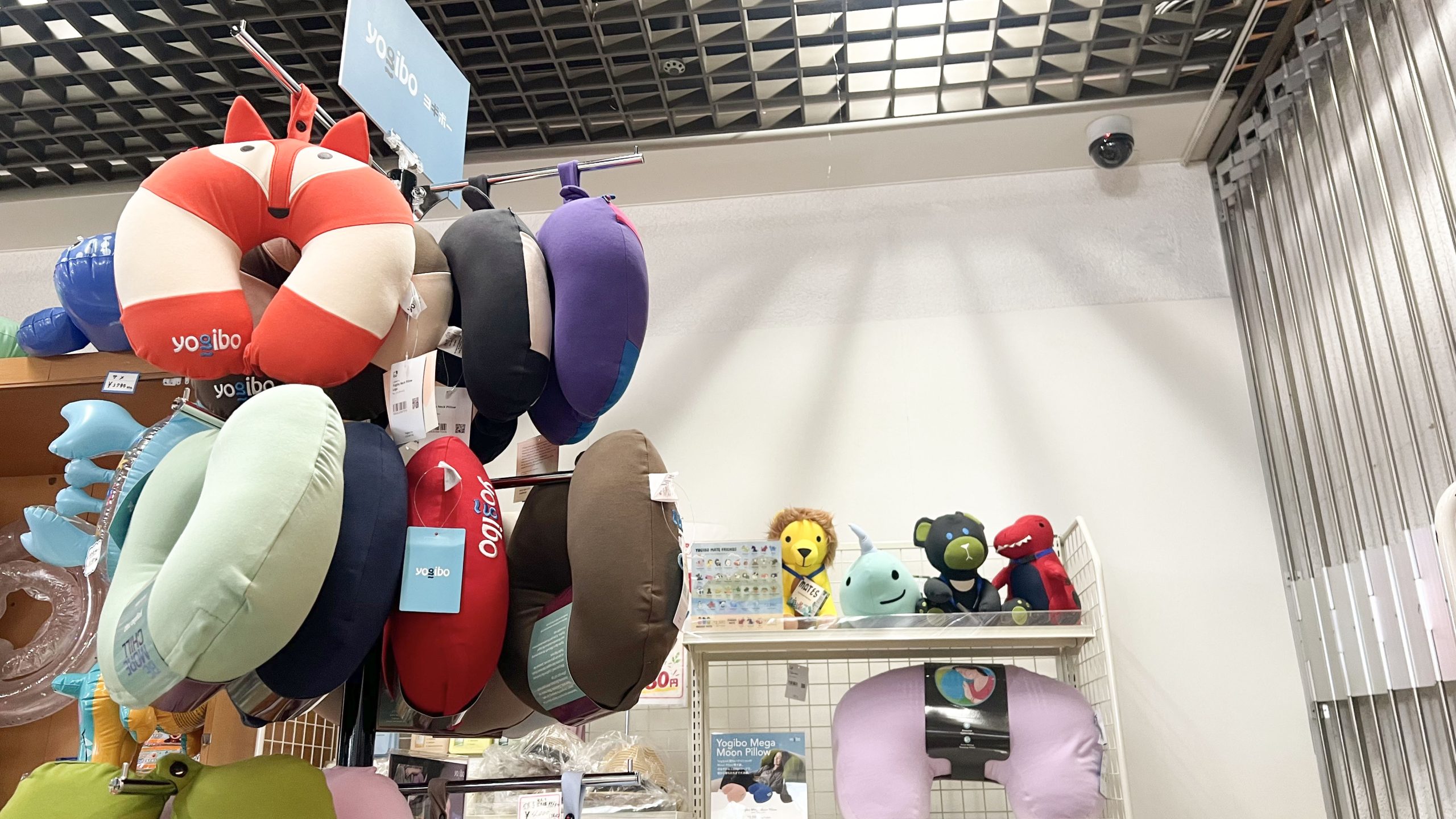 ホテルカターラ　ホテルカターラの売店にYogibo商品が登場！