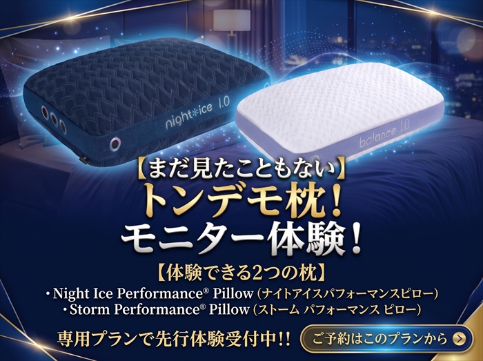 ホテルカターラ　【まだ見たことがないトンデモ枕】モニタープランスタート！